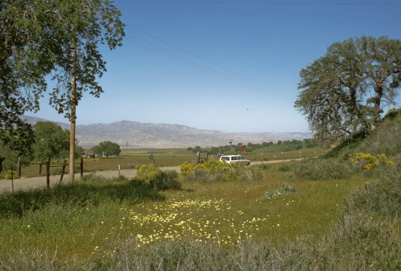 Aliso Park Road