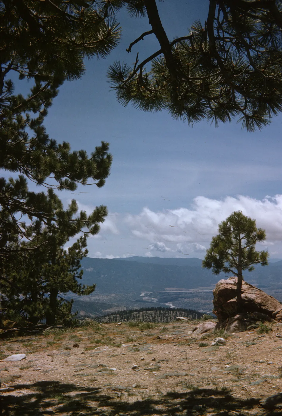 Mount Pinos to Lockwood Valley
