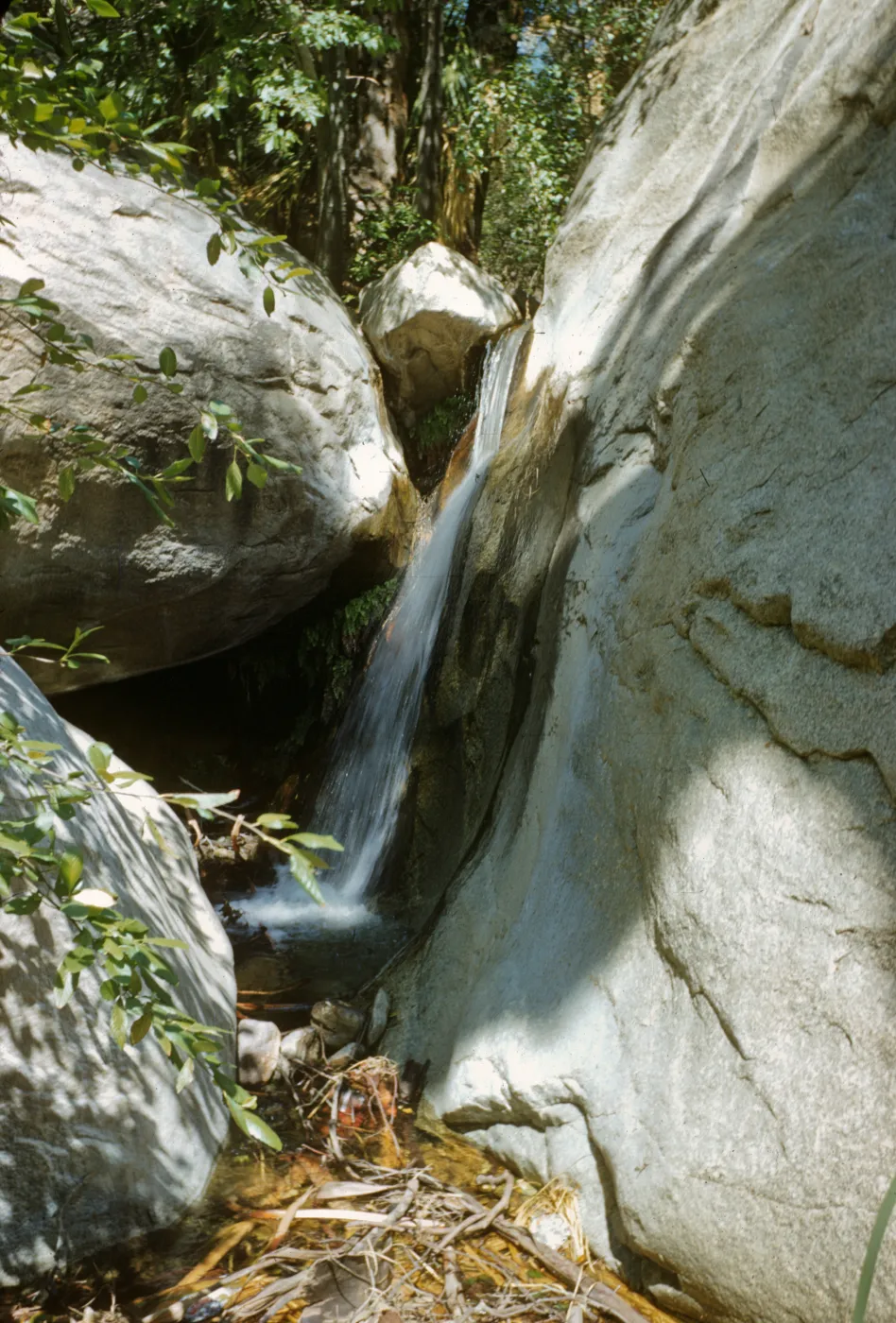 waterfall in Palm Canyon, Borrego State Park