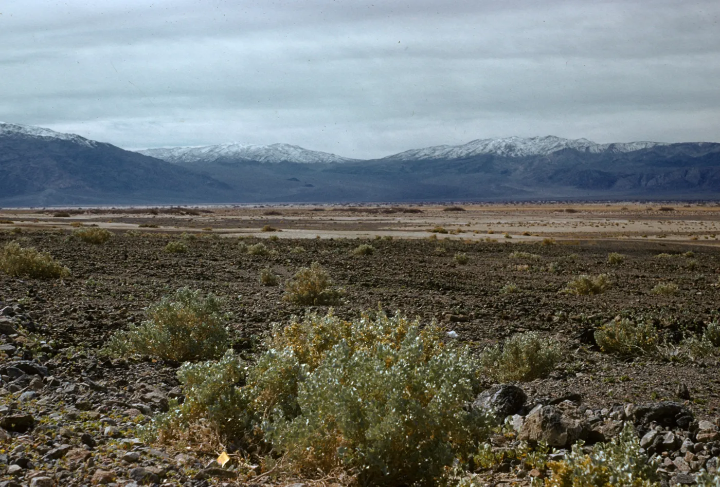 high desert, route to Scotty's Castle, snow on mountains