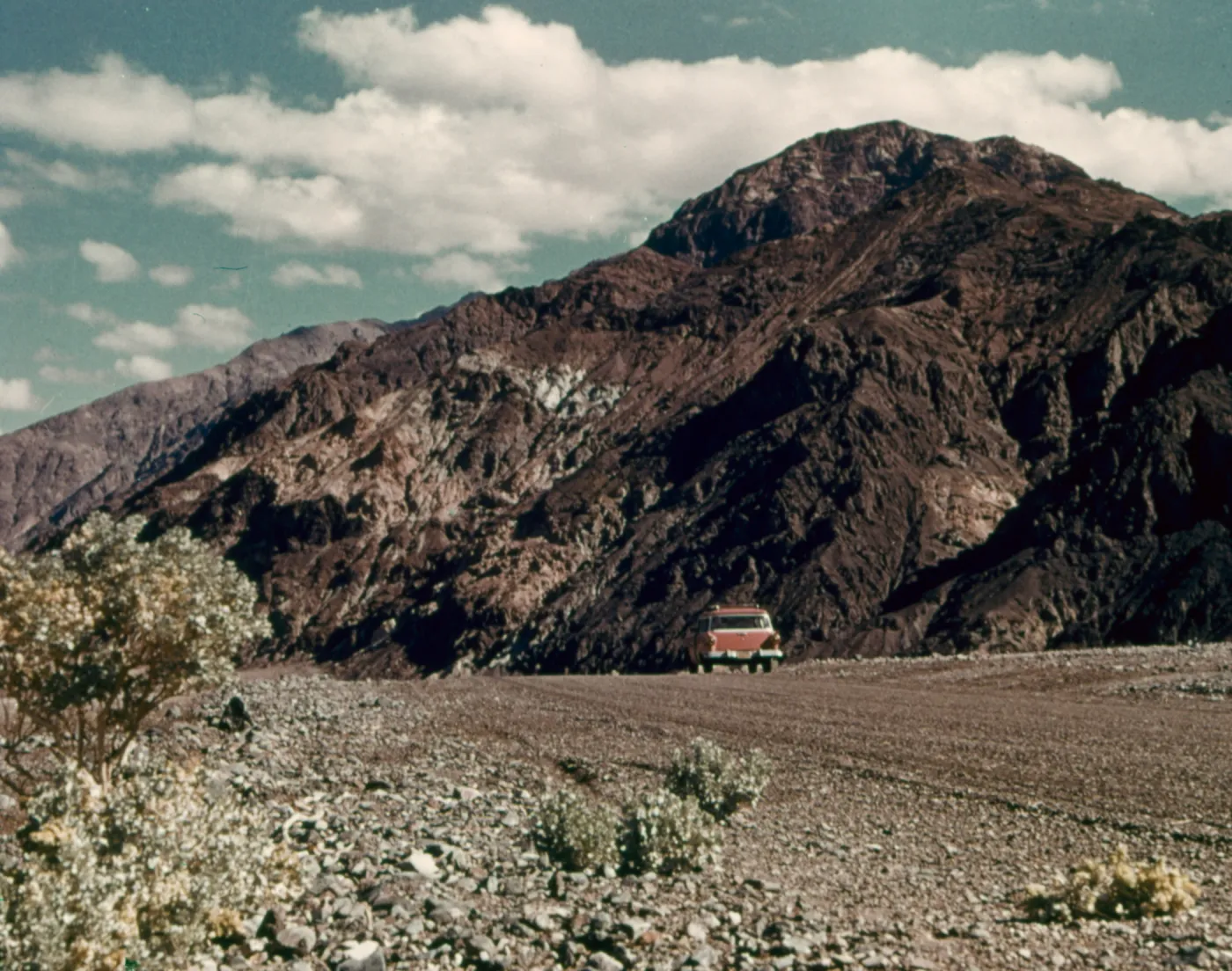 DV8-5 'Desert Holly Along Black Mtns, Death Valley, California'