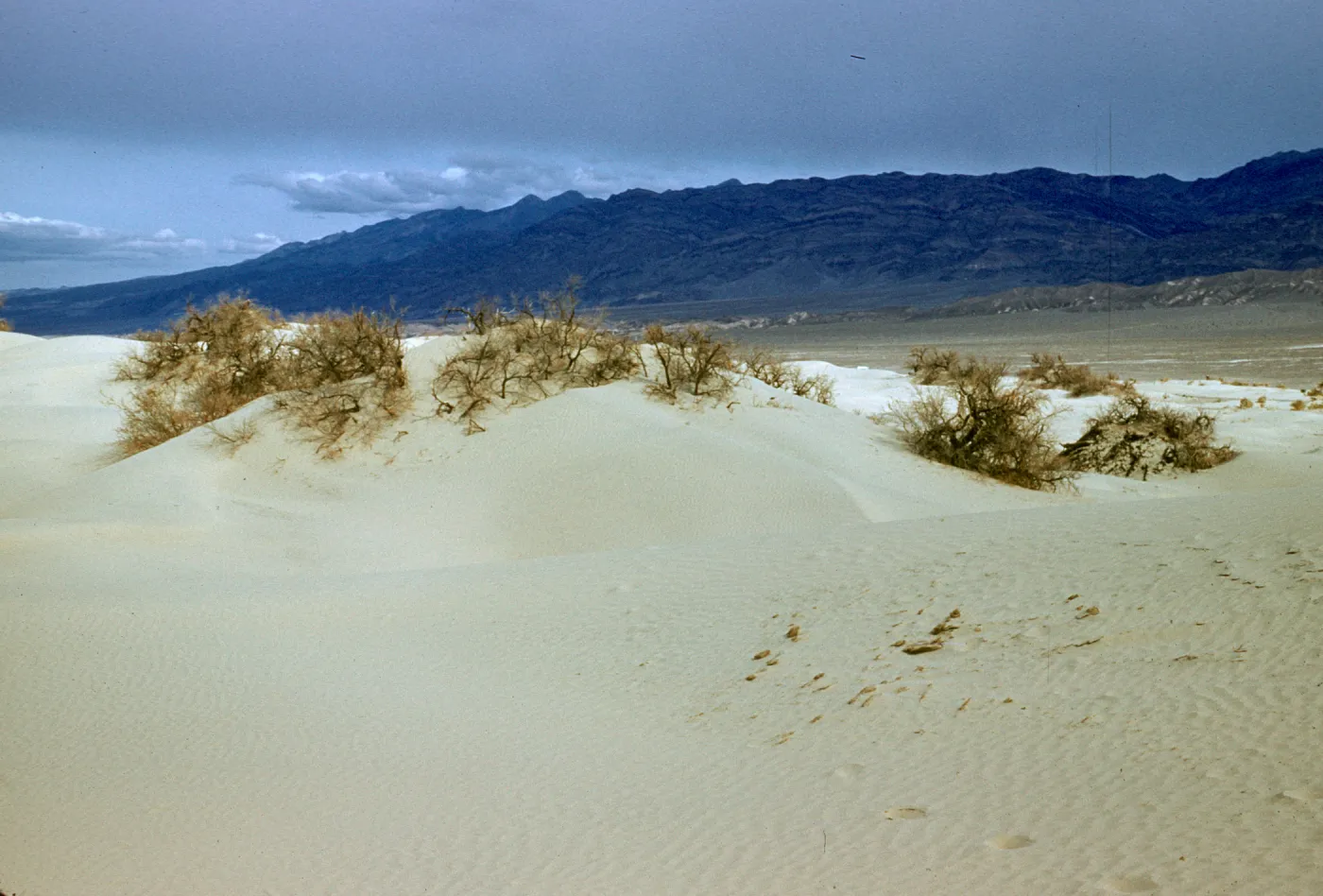Sand Dunes, Funeral Mountains, Death Valley