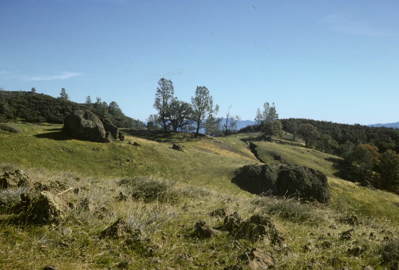 Figueroa Mountain