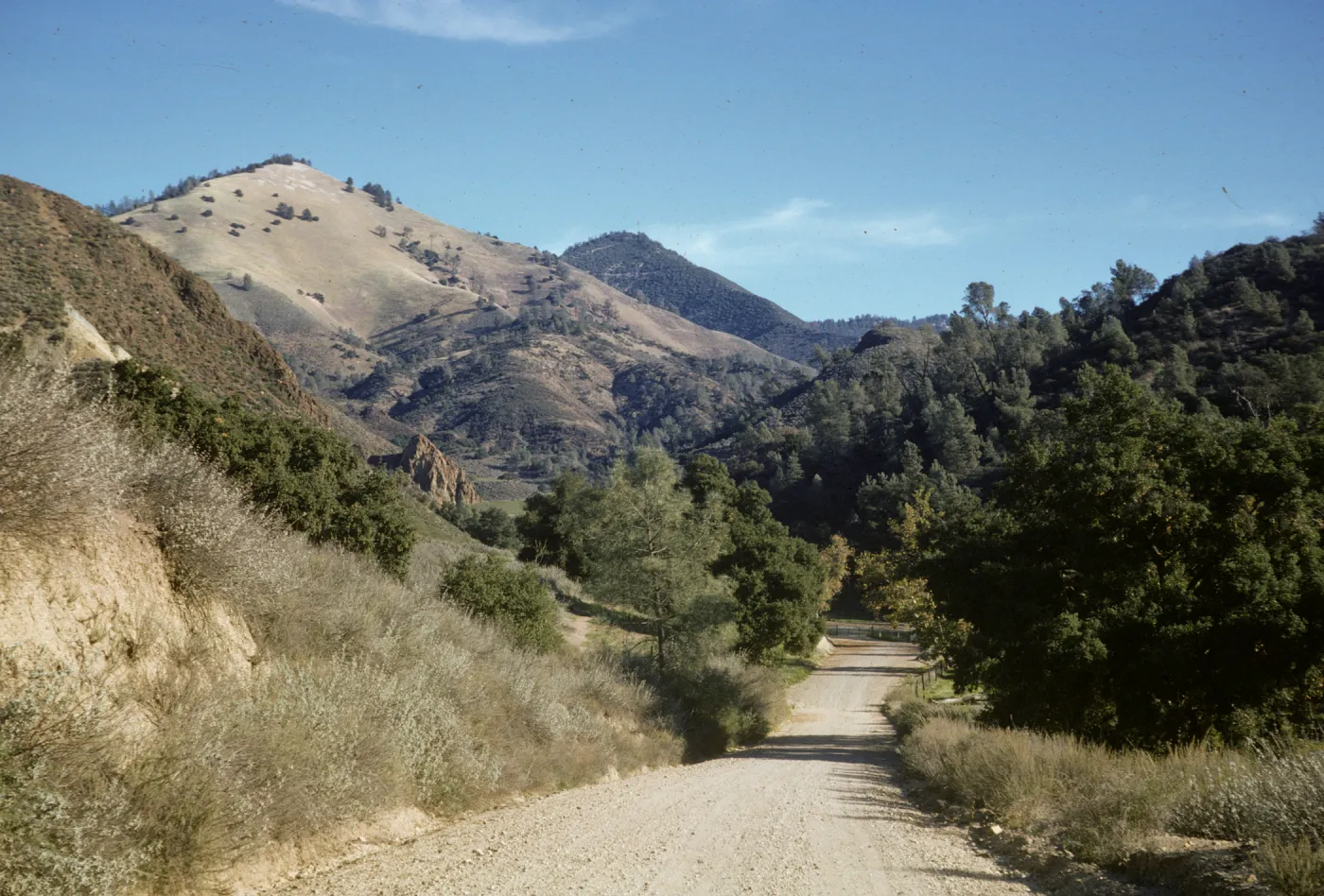 Figueroa Mountain, on road approaching Grass Mountain