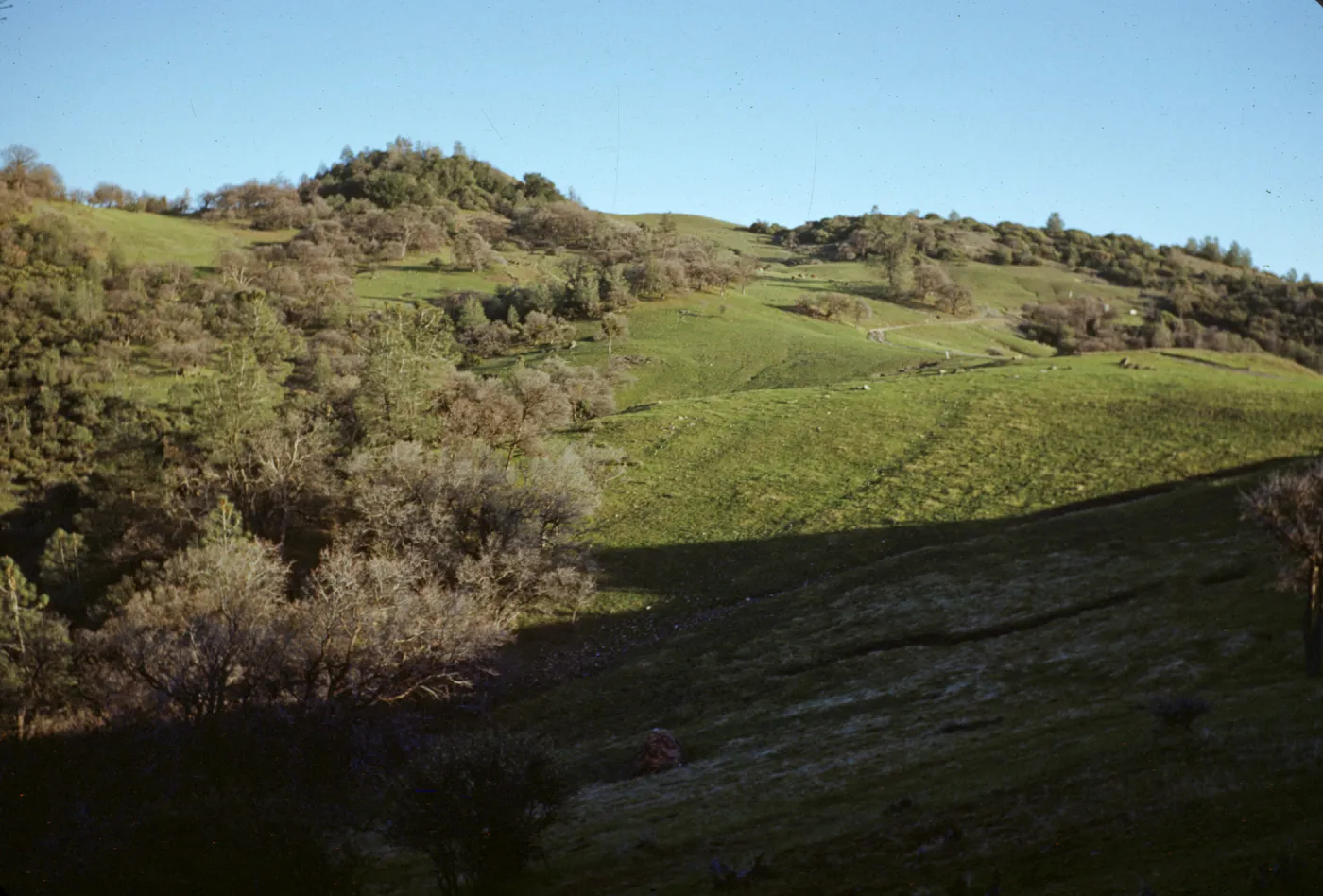green hills, Happy Canyon Road, Figueroa Mountain