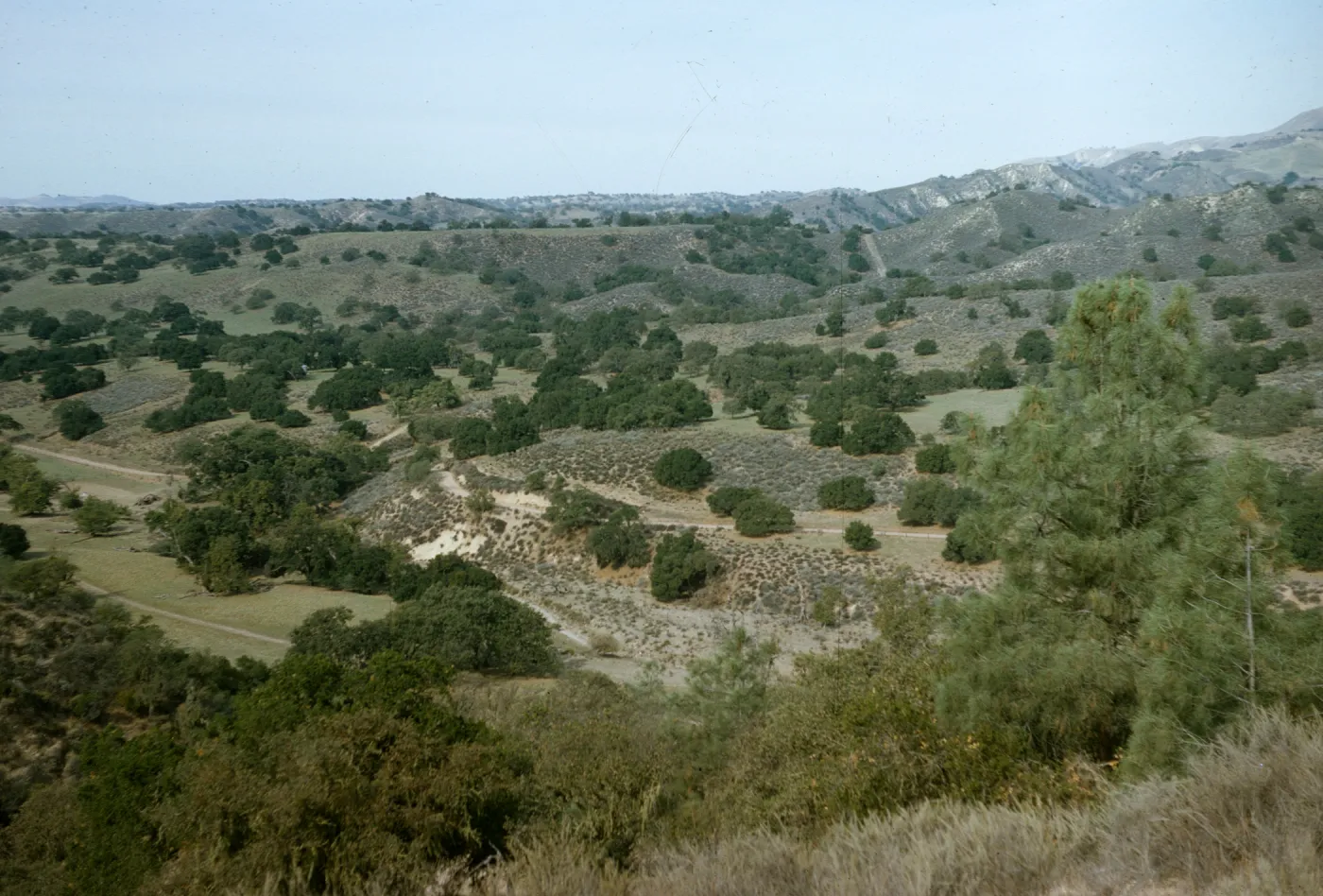 valley view from Figueroa Mountain Road, chaparral, oak woodland