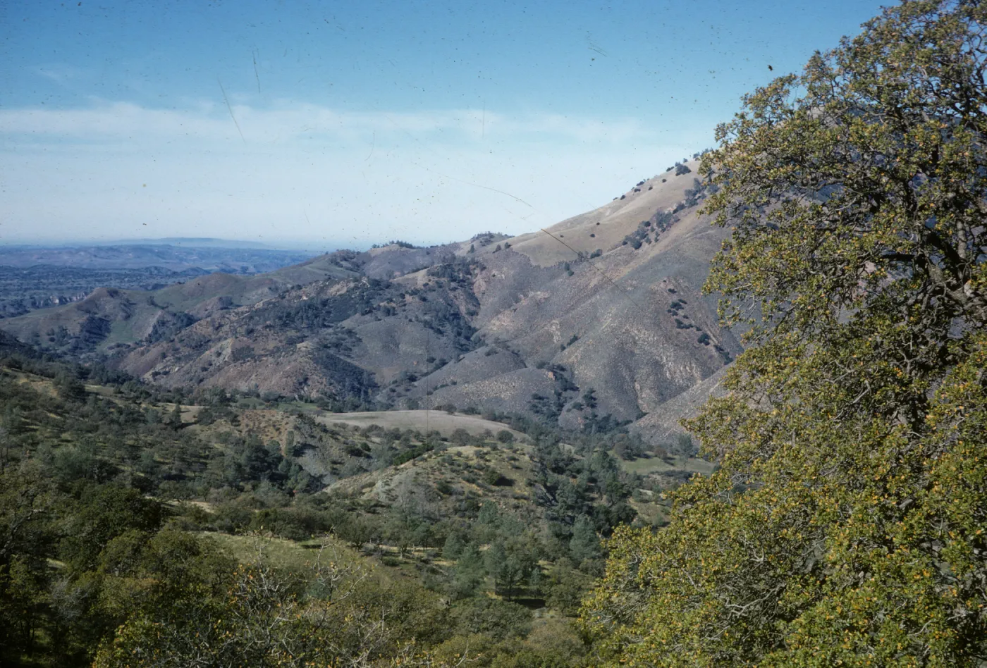valley view from Figueroa Mountain