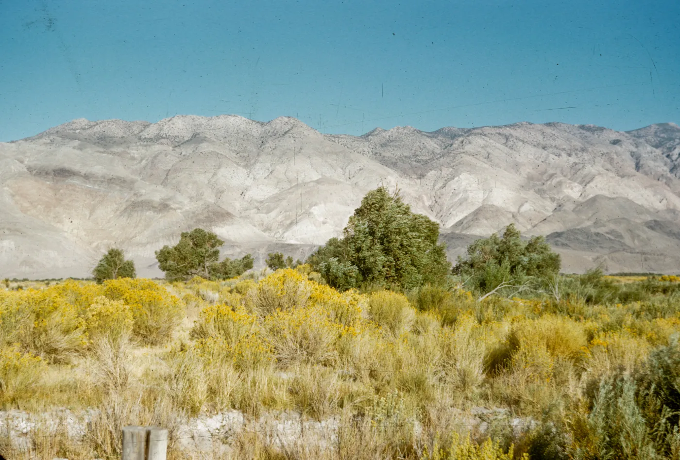 Inyo Mountains, from near Big Pine