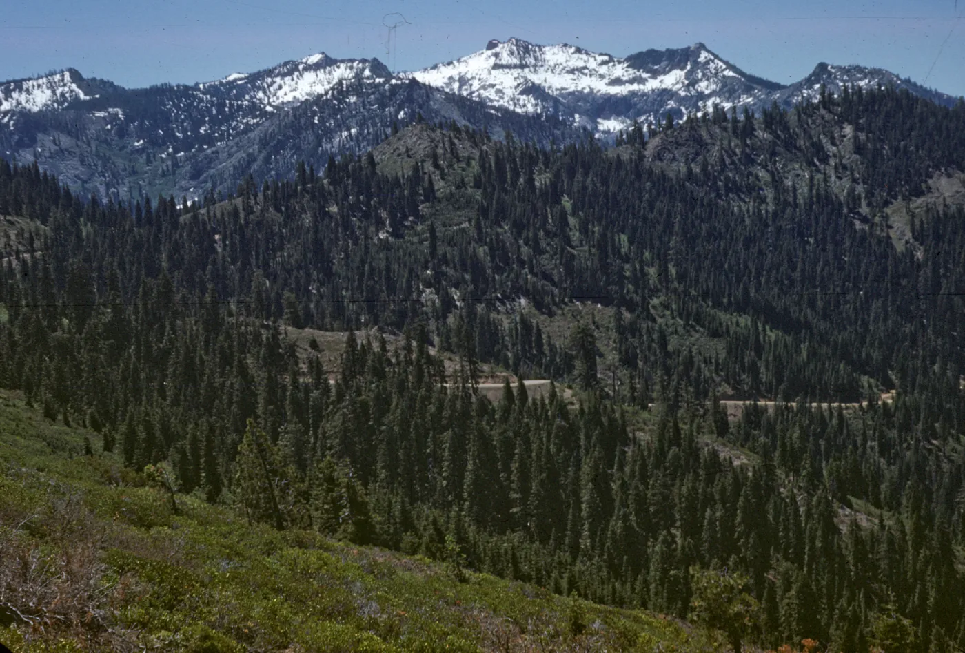 vegetation change in Siskiyous, taken from Siskiyou summit