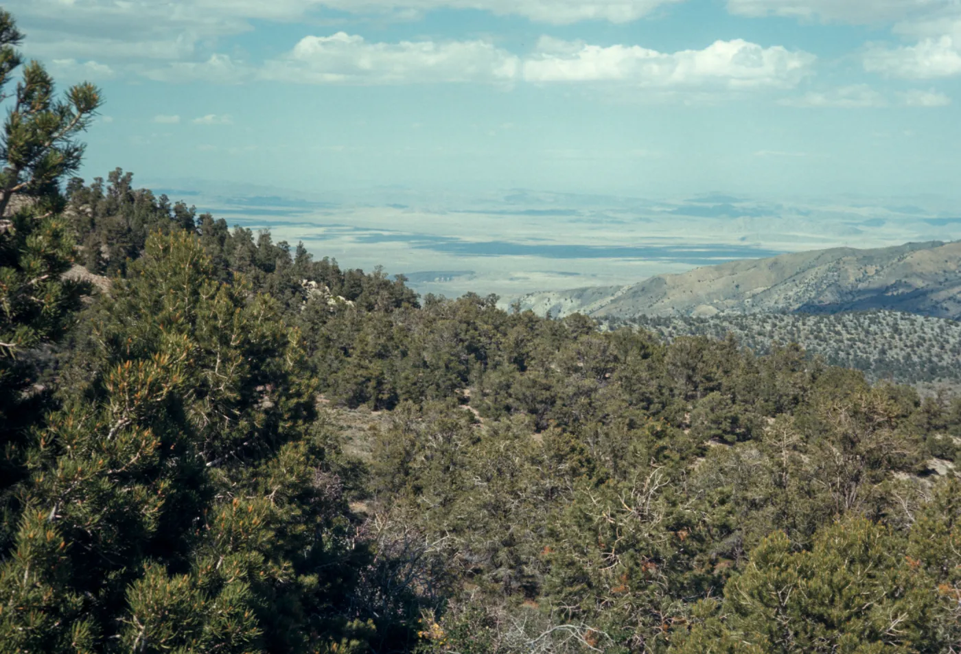 Lucerne Valley from near Big Bear Lake, elevation 3,000 feet