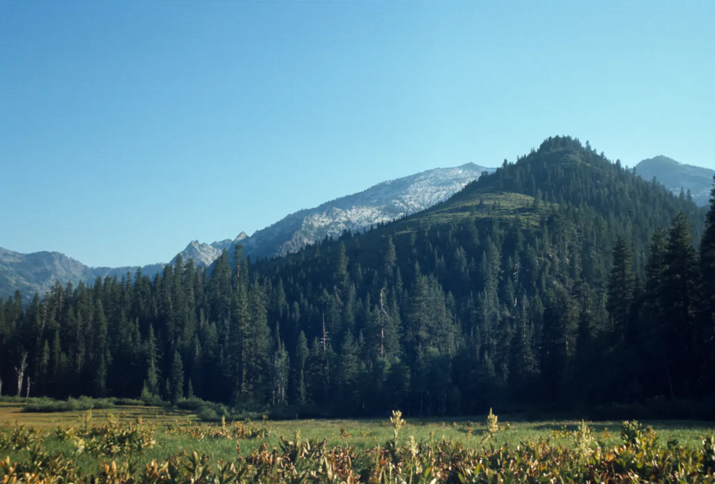 Big Flat, Coffee Creek, Trinity Alps, Mt. Meadow Ranch, alpine meadow