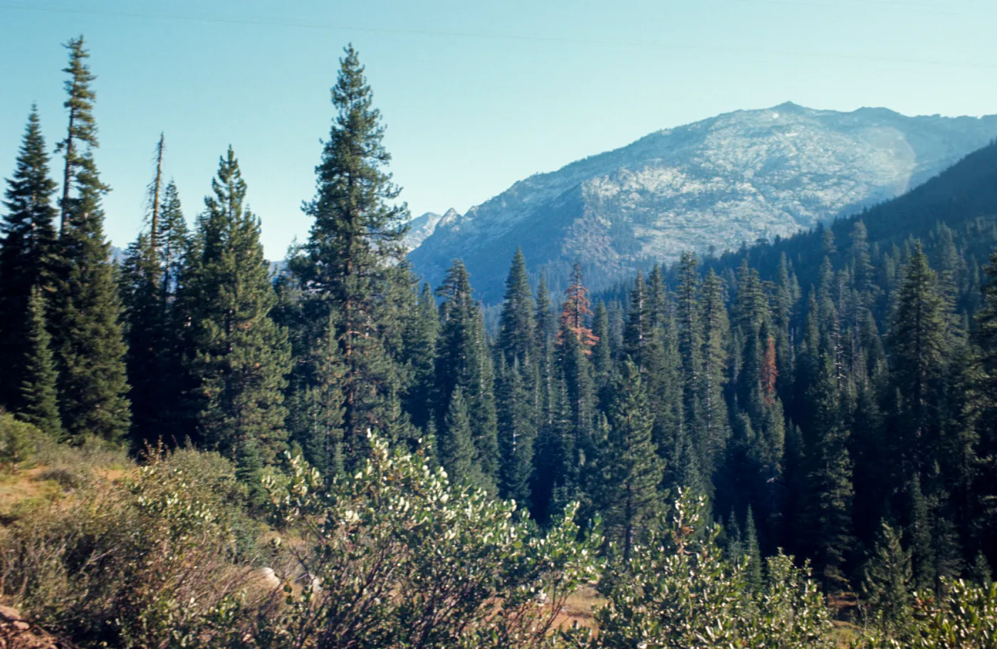Caribou Mountain, Trinity Alps, Carter Ranch Road, Mt. Meadow Ranch, Siskiyou county