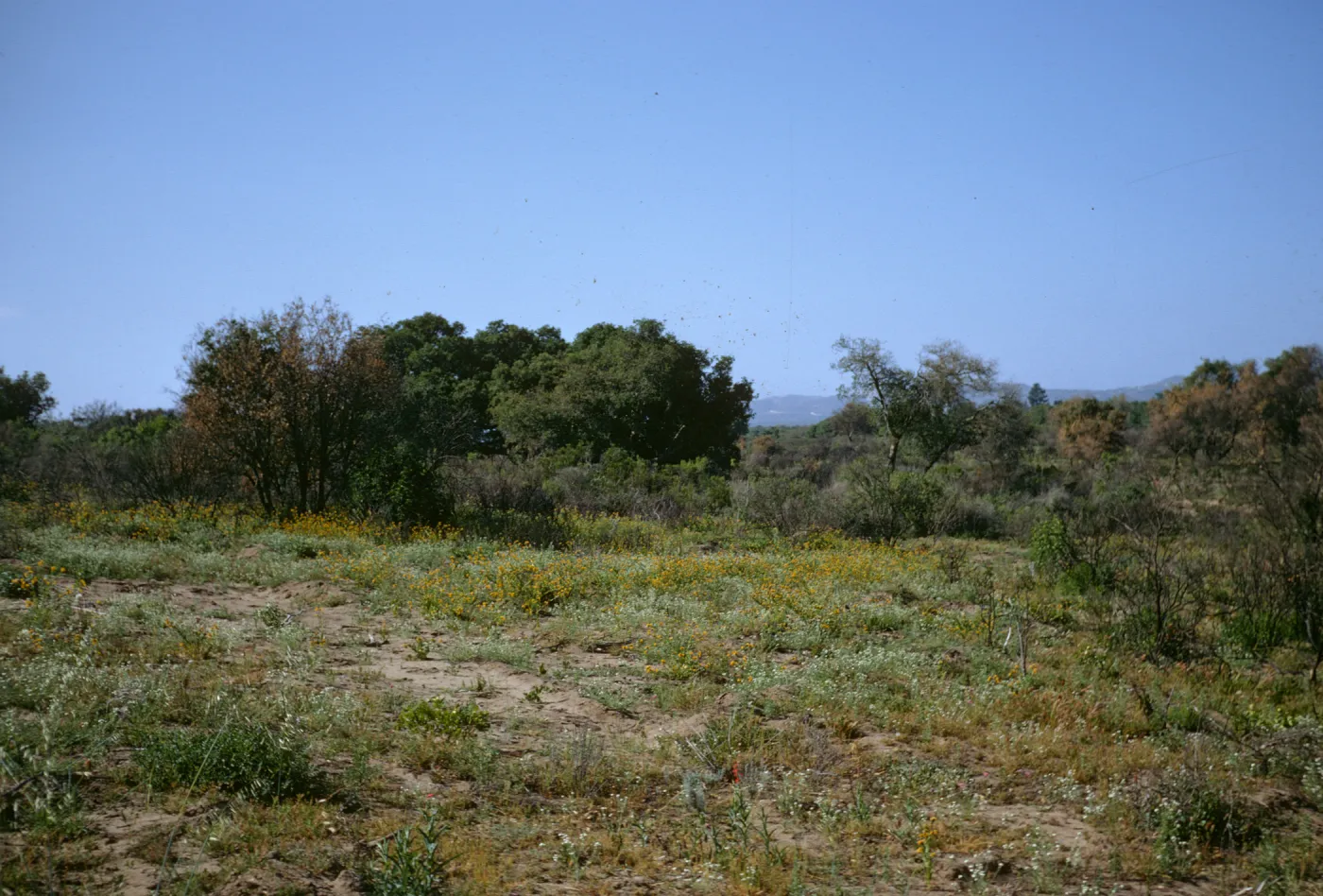 sand flats, La Purisima, Lompoc