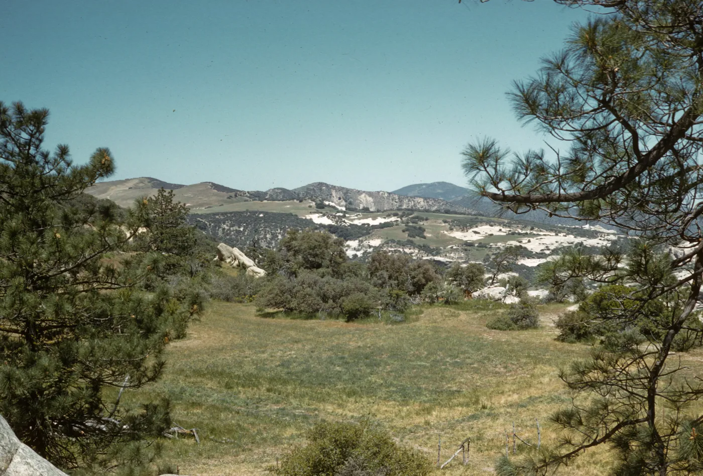 Montgomery Potrero, westward from Pine Corral, McPherson Peak in background