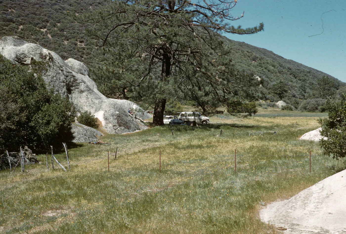 Montgomery Potrero, Pine Corral camp
