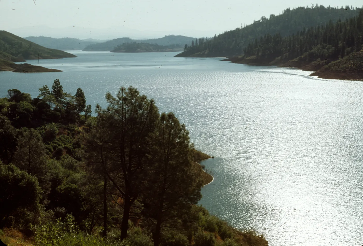 Lake Shasta, looking down from Pit River Bridge