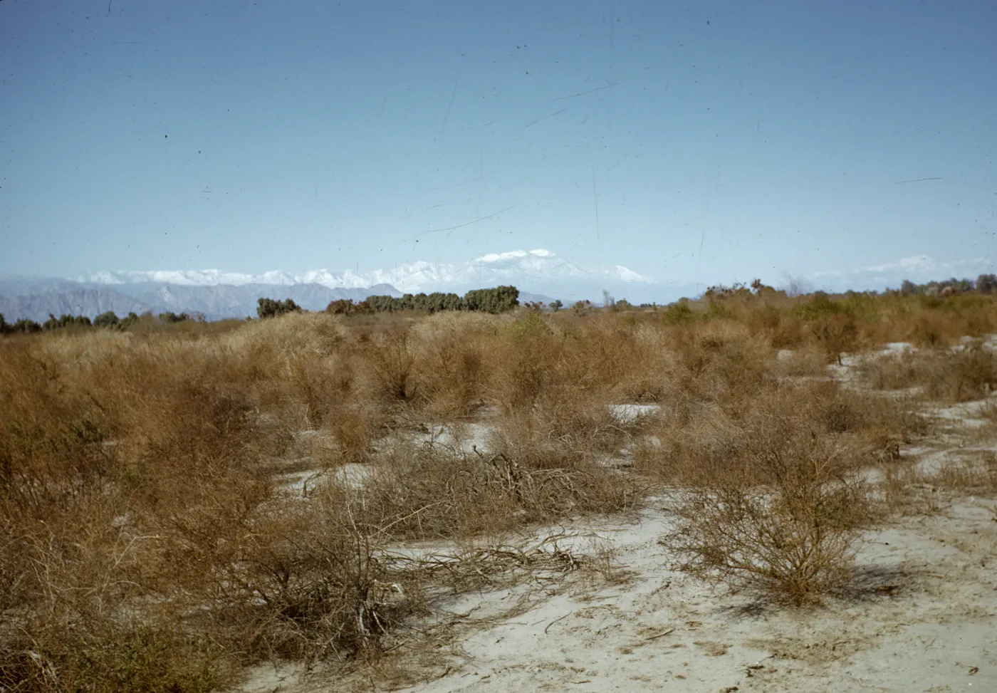 Mt. San Gorgonio, Mt. San Jacinto