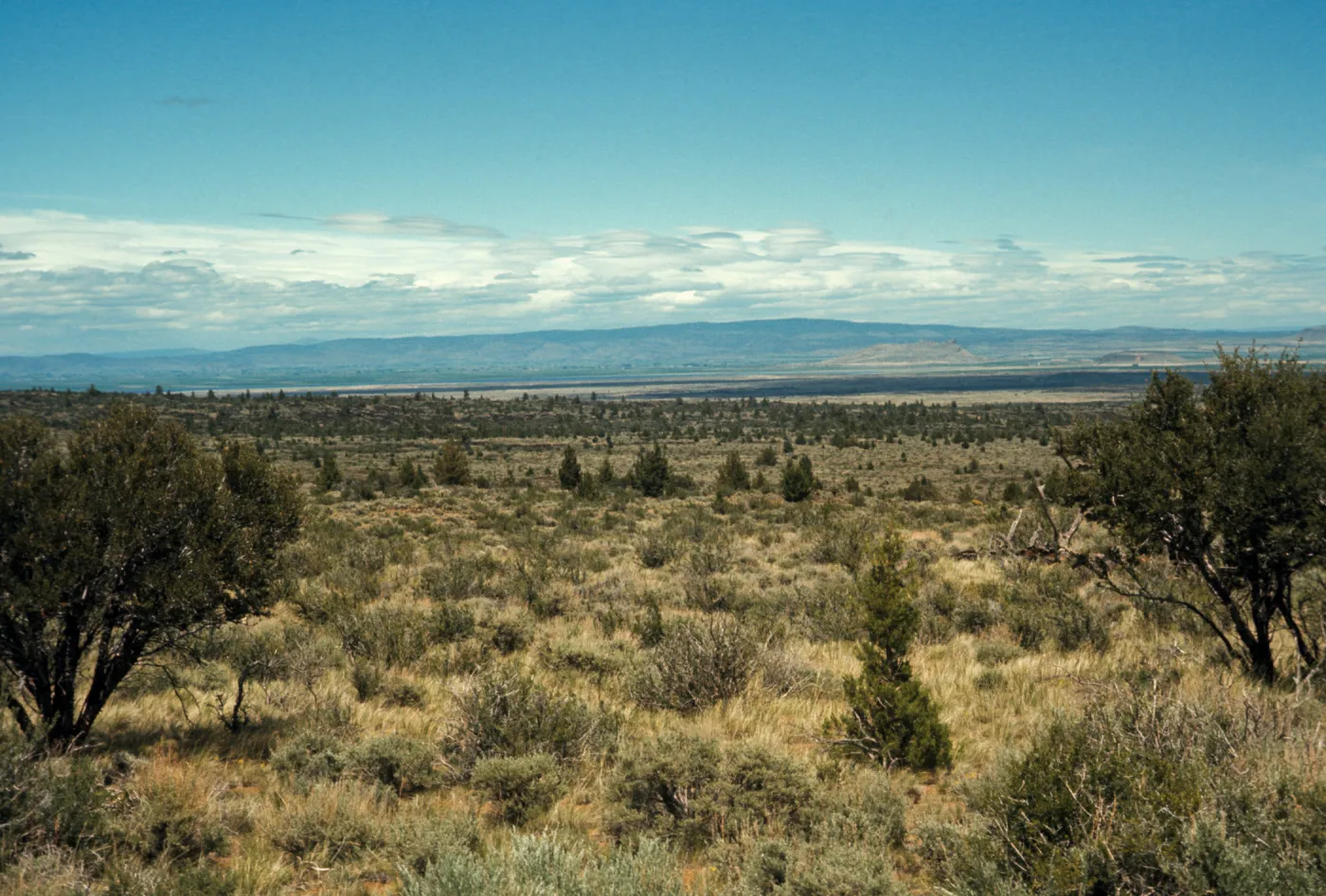 Lava Bed National Monument