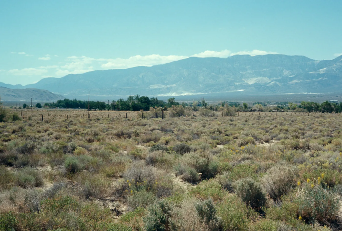 San Bernardino Mtns, Cushenbury Canyon