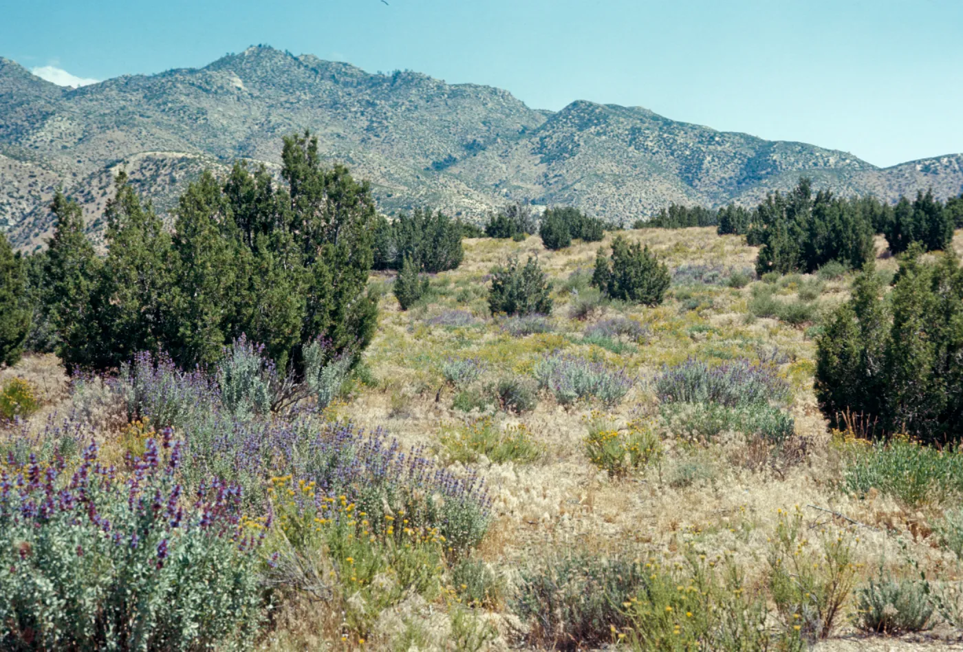 Summit Valley, near Hesperia