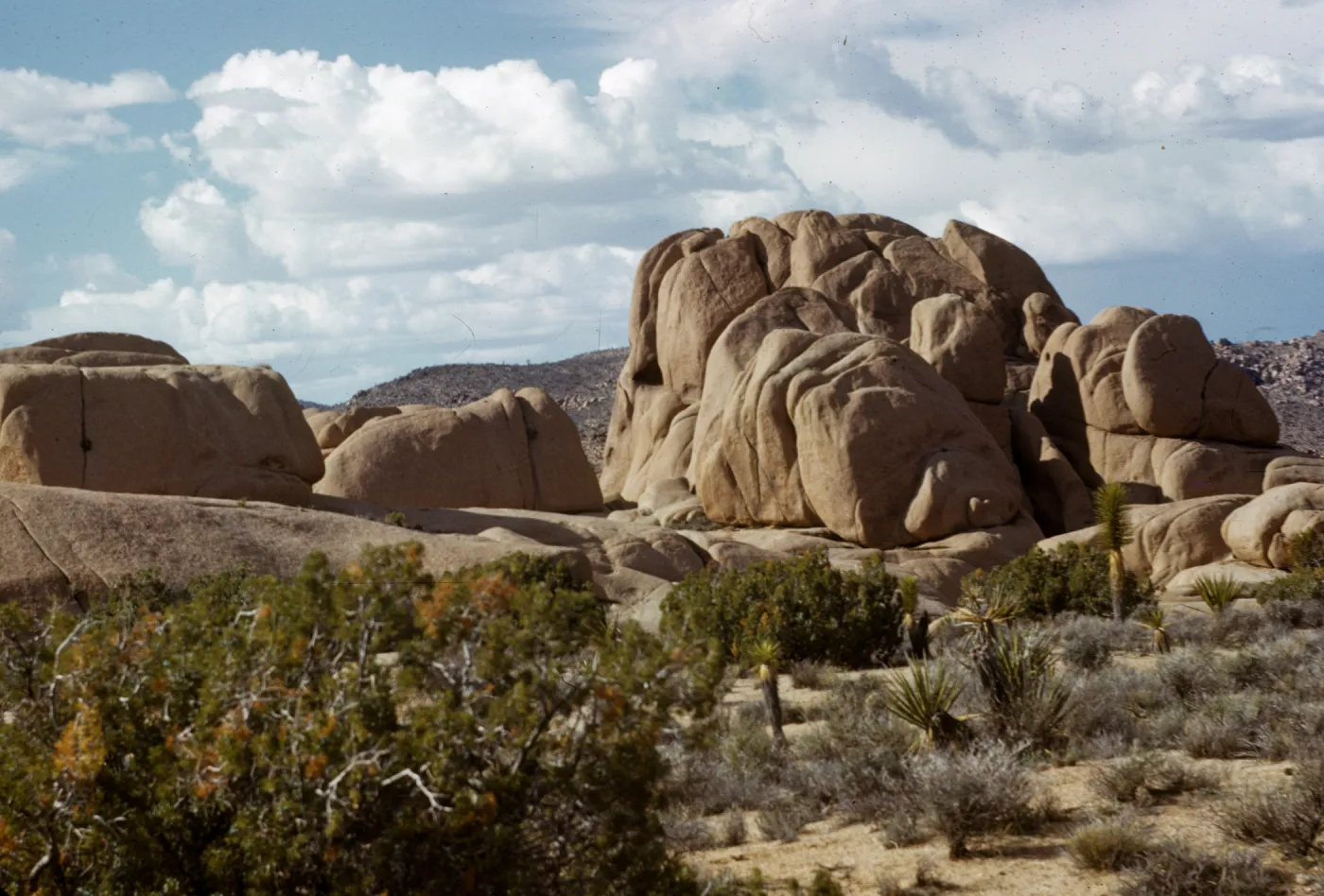 Joshua Tree National Monument
