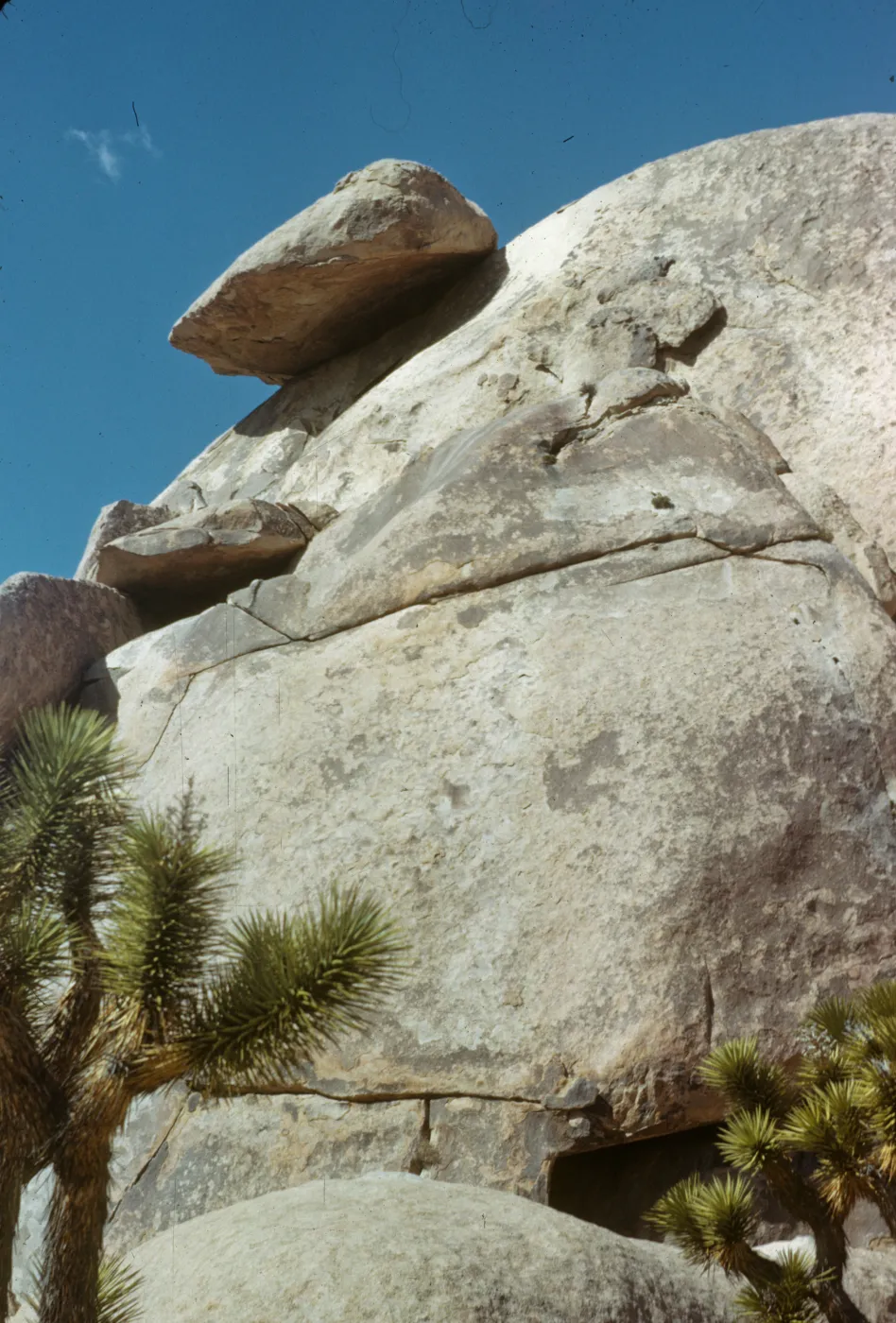 Joshua Tree National Monument (Cap Rock)