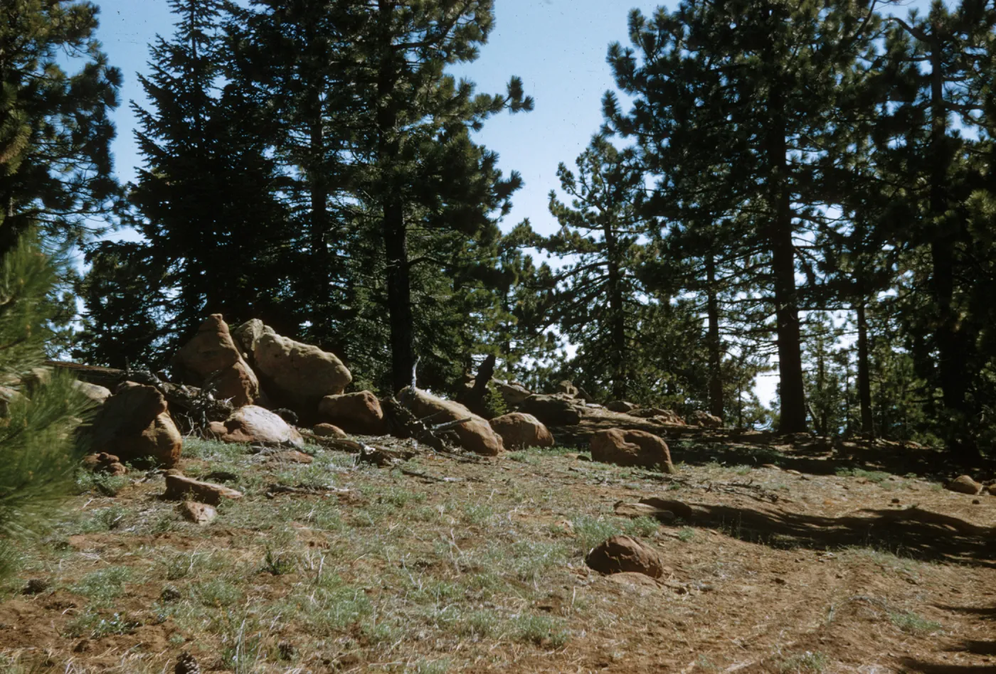 Big Pine Mtn.,from S.B.. Potrero