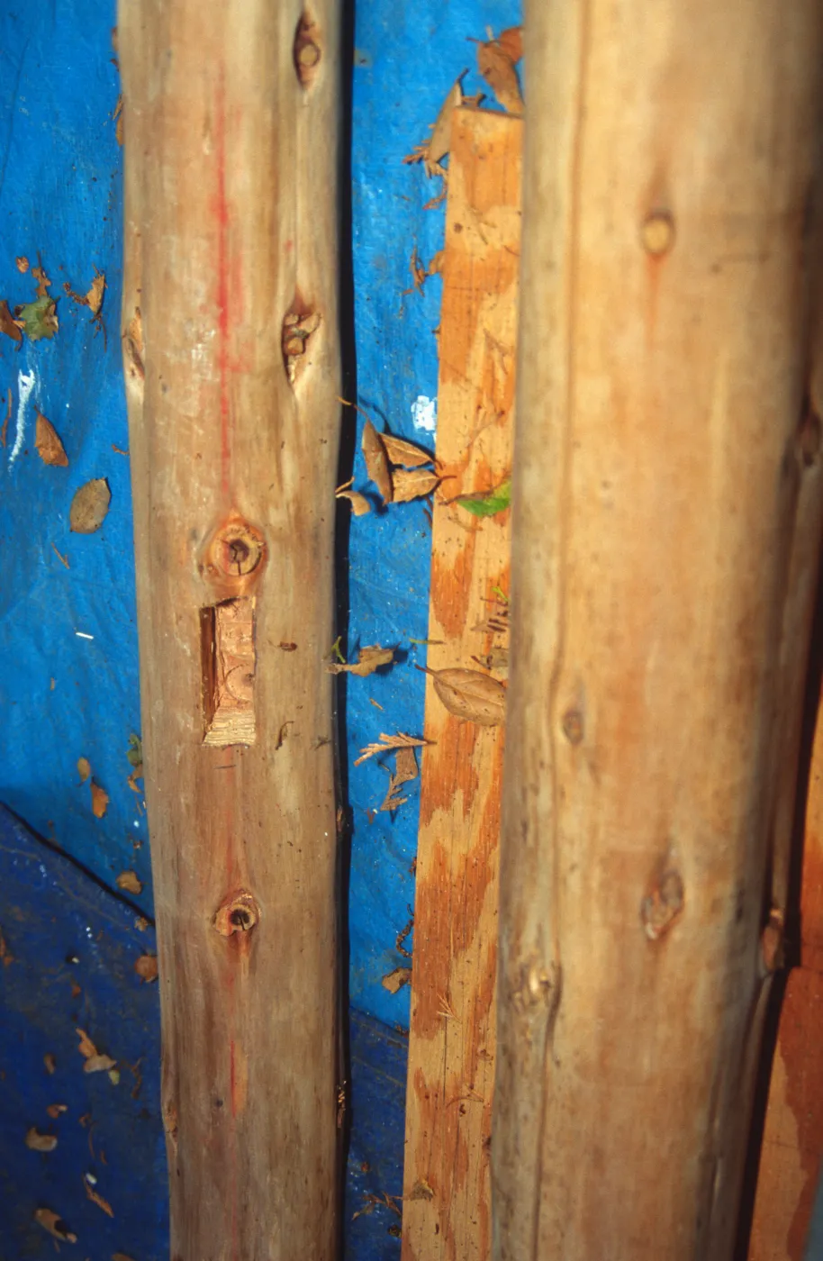 Tea House Construction 2001