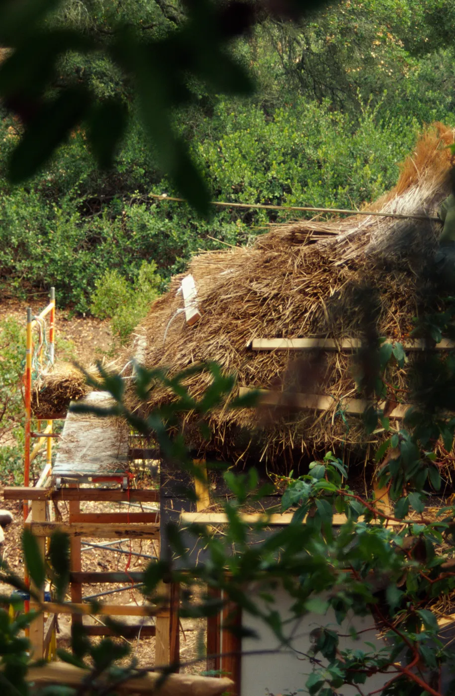 Tea House Construction 2001