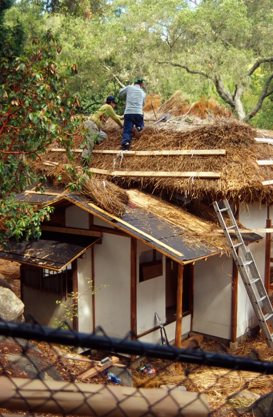 Tea House Construction 2001