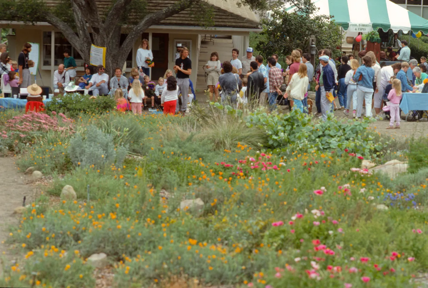Ground Cover Display, lower Meadow, Family Day, 1989