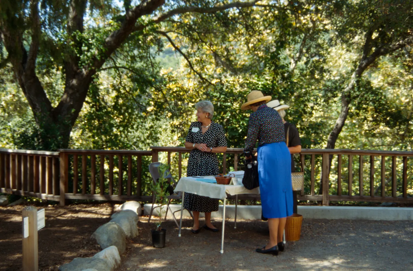 reception table, Ironwood Circle Event, 1994, at the Home Demonstration Garden, reception table