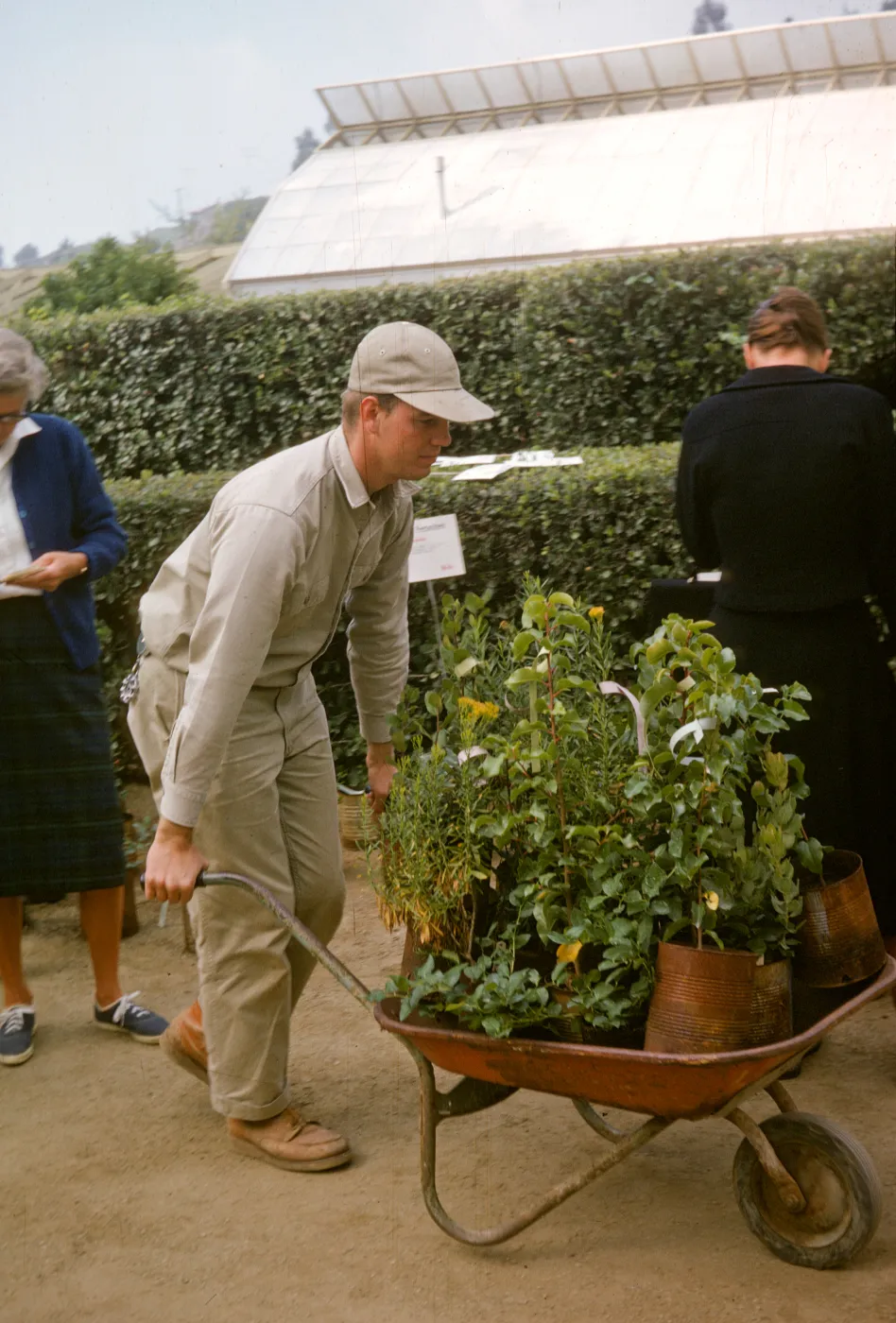 SBBG Plant Sale