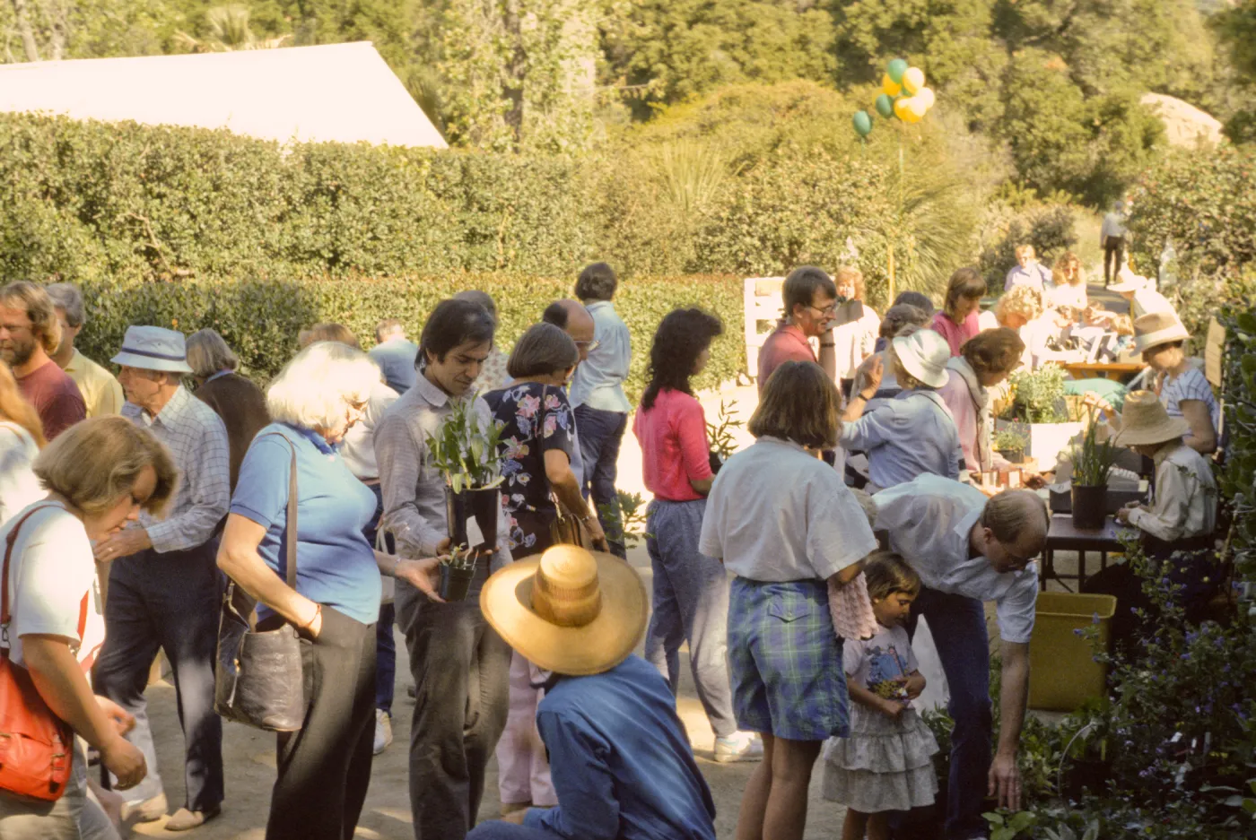 SBBG Spring Plant Sale, 1988
