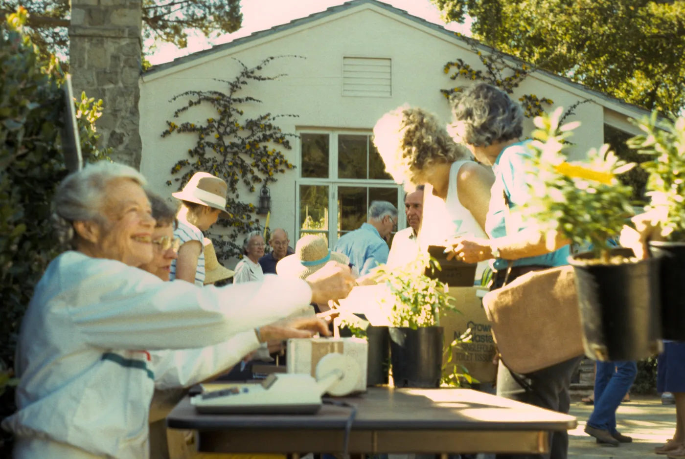 SBBG Spring Plant Sale, 1988