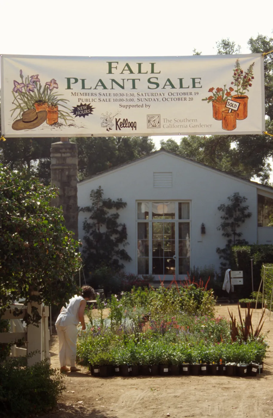 SBBG Fall Plant Sale, 1996