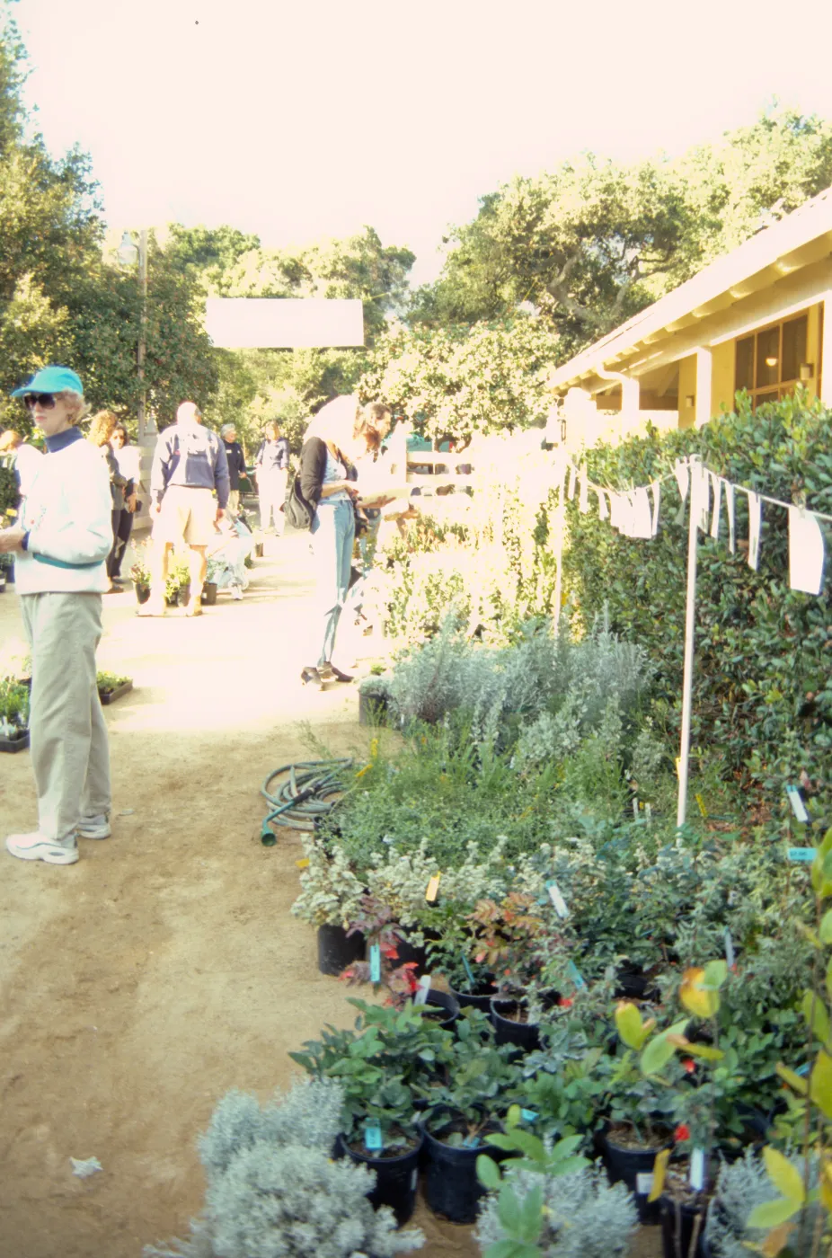 Fall Plant Sale, Preview Party, 2000