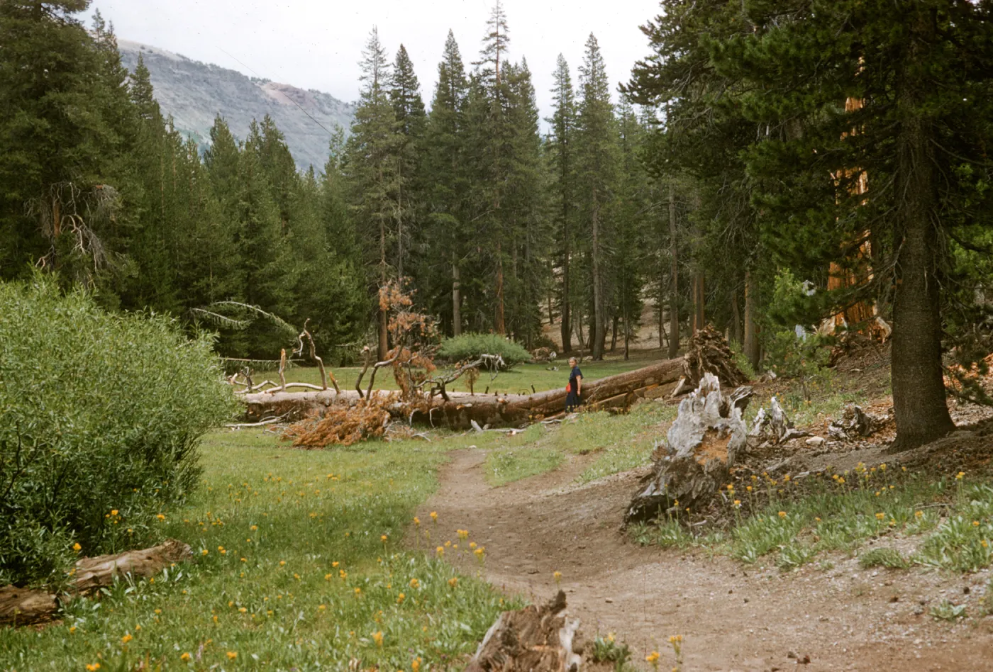 Mammoth Lakes, Agnew Meadows