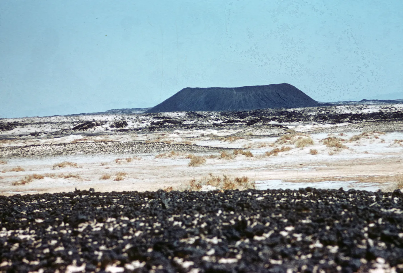 Mojave Desert, Alkali Sink