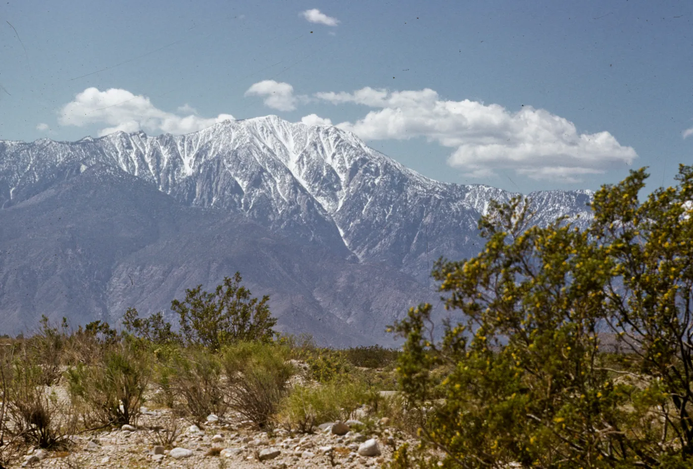 Mt San Jacinto from 1000 Palms Road