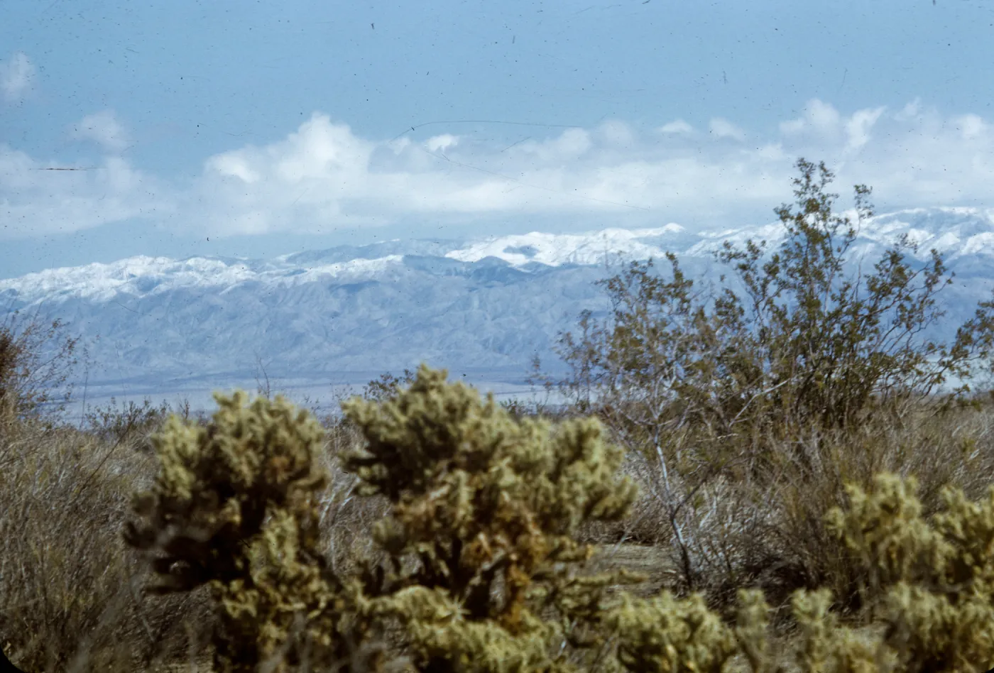 lower Palm Canyon, Little San Bernardinos