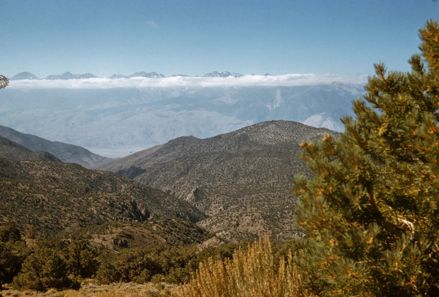 Sierras from the White Mountains, near Westgard Pass