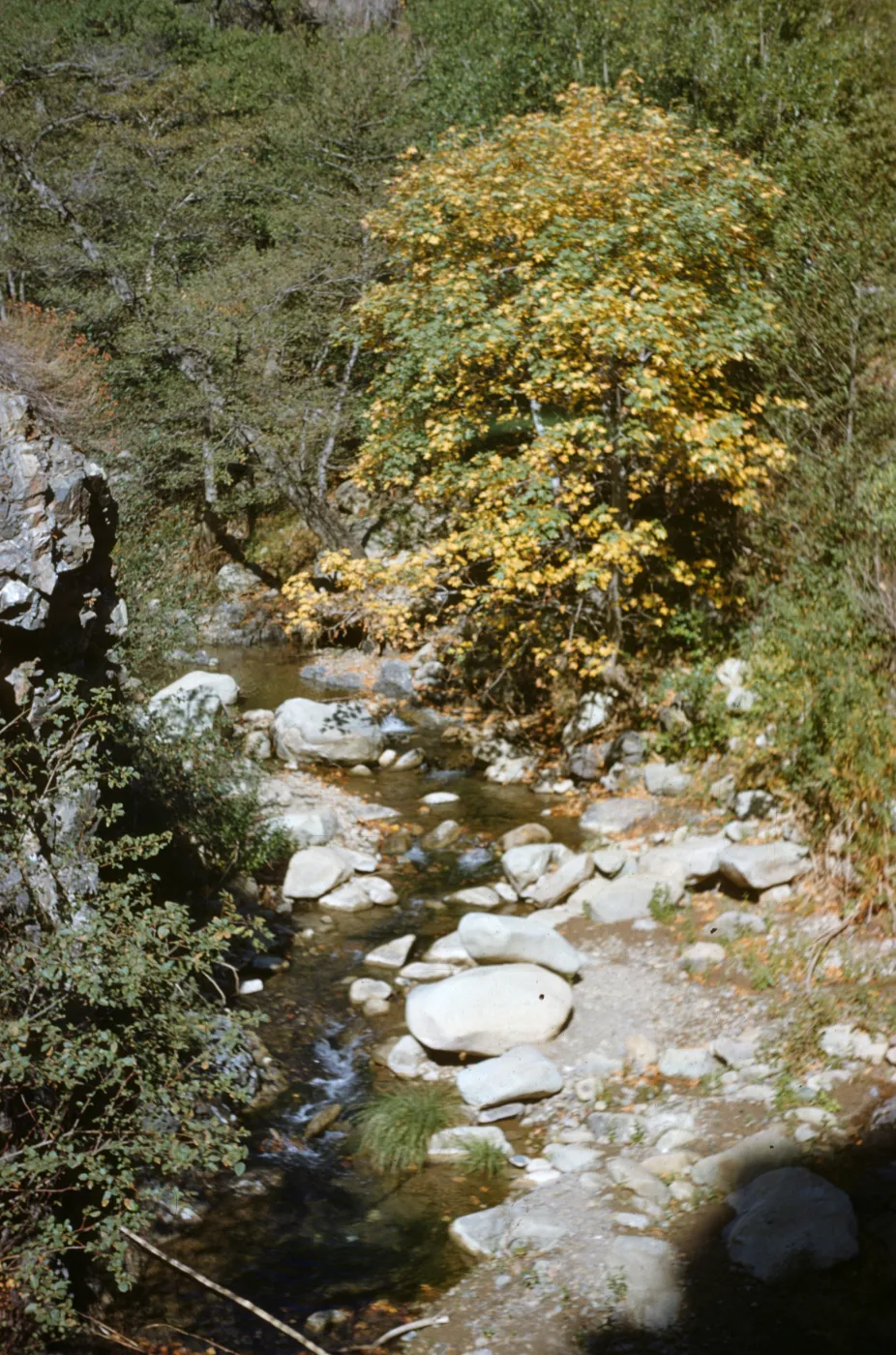 creek, Sespe Gorge