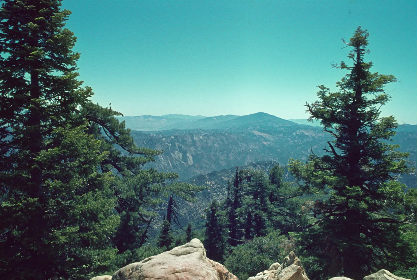 looking east from Madulce Peak; Pine Mountain & Reyes Peak