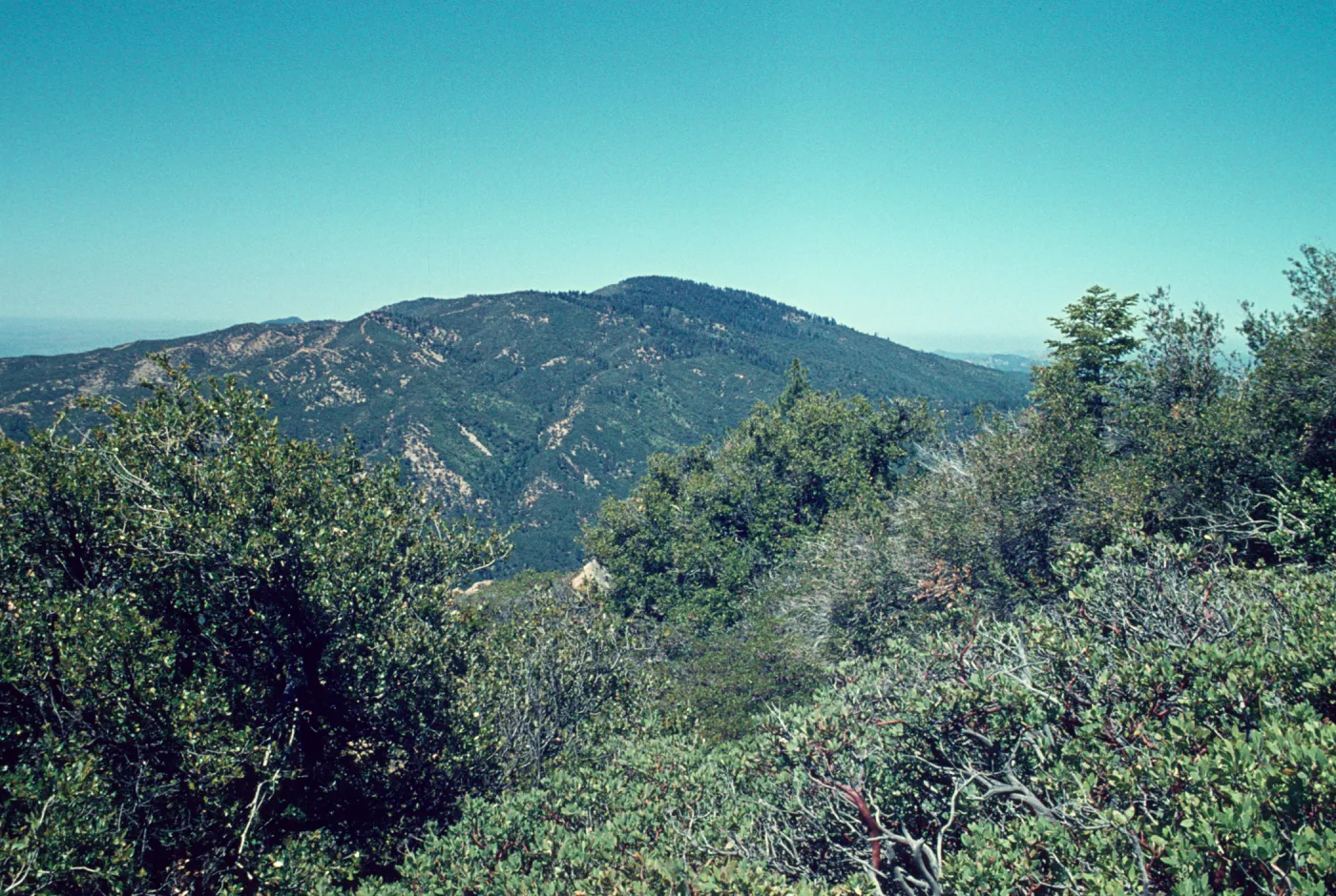 east end of Big Pine Mountain from Madulce Peak