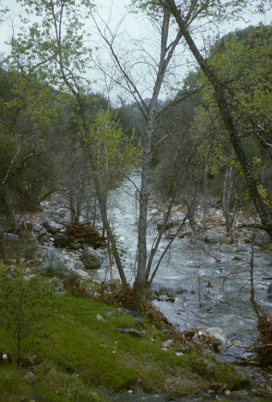 Jolon Creek