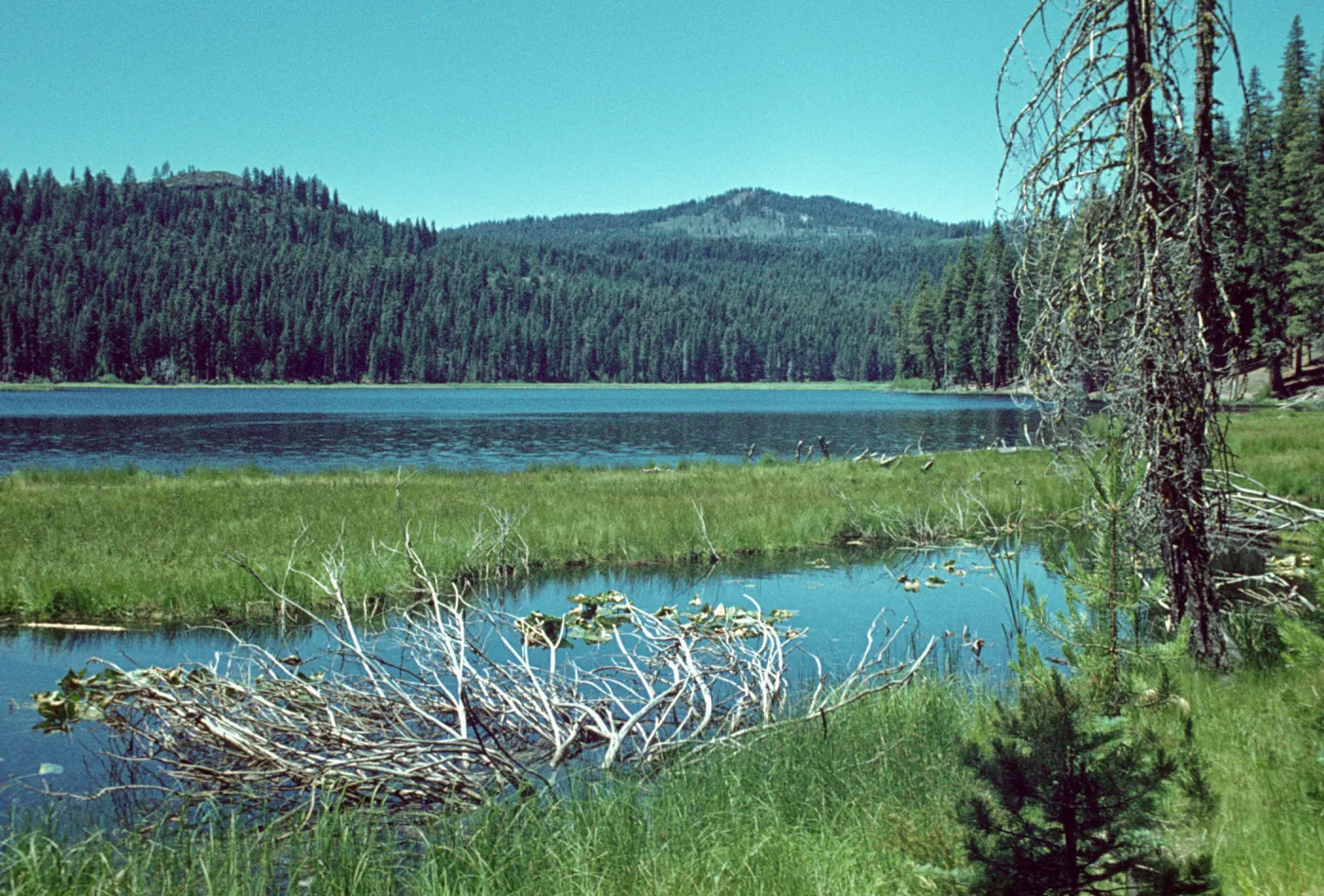 Willow Lake, Drakesbad, Lassen National Park