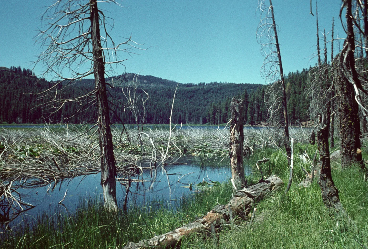 Willow Lake, Drakesbad, Lassen National Park