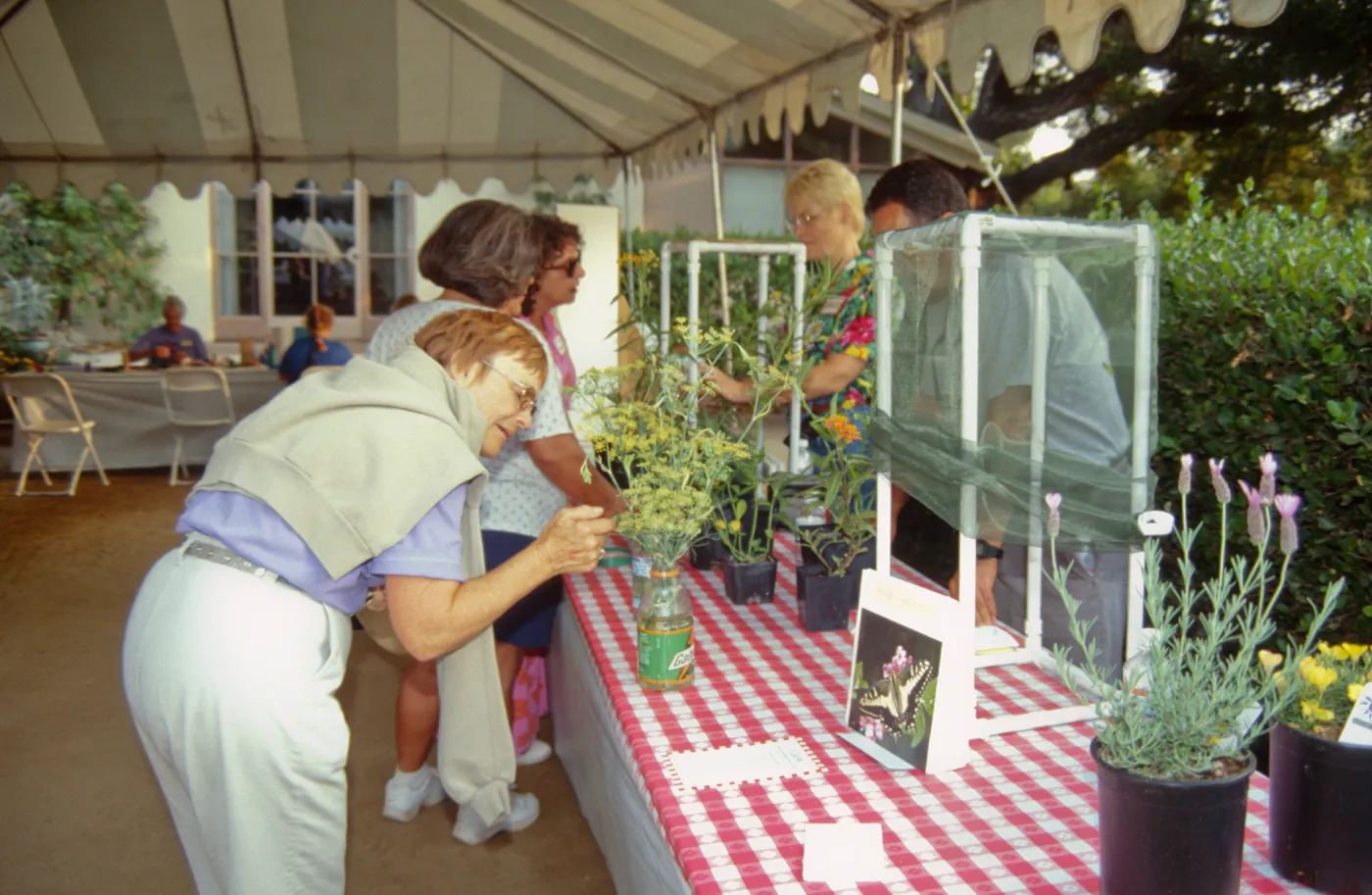 SBBG Members BBQ, 2000