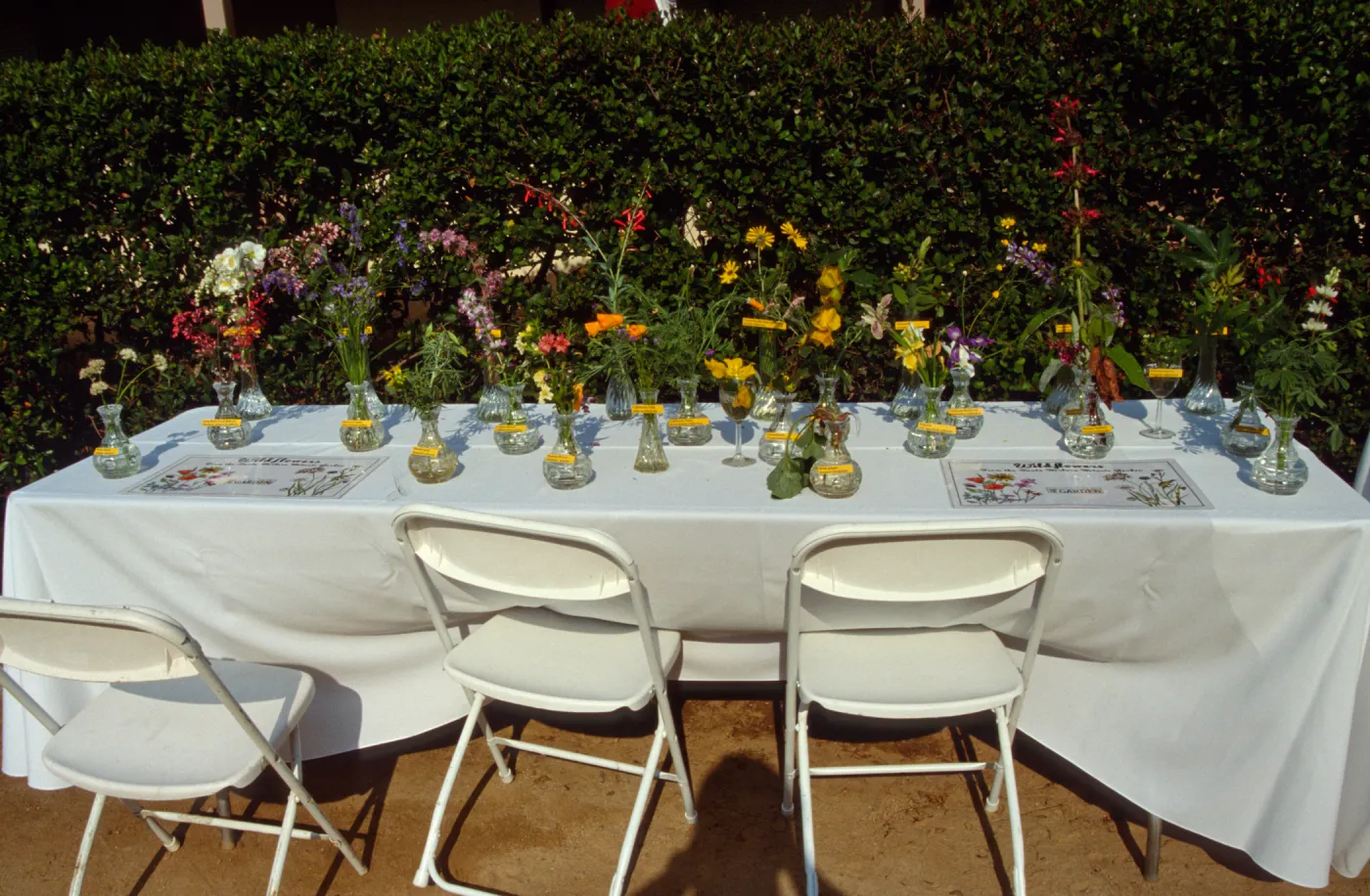 SBBG Members BBQ, 2001